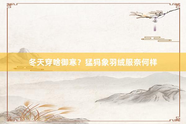 冬天穿啥御寒？猛犸象羽绒服奈何样